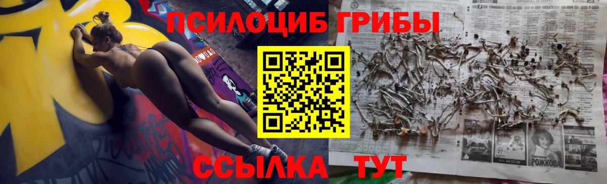 Галлюциногенные грибы GOLDEN TEACHER  Вход с VPN  Галлюциногенные грибы Psilocybine cubensis  Нововоронеж 